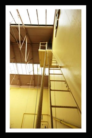 Kitchen Border Ladder Detail